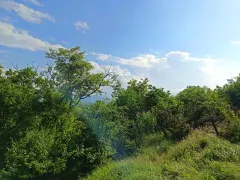 Satılır Torpaq Quba – şəkil 8