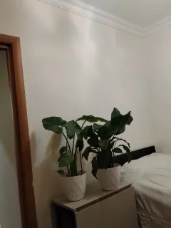 Satılır 2 otaqlı Mənzil 46 m² Binəqədi r. – şəkil 11