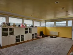 Kirayə 9 otaqlı Həyət evi / Bağ evi 700 m² Nəsimi r. – şəkil 1