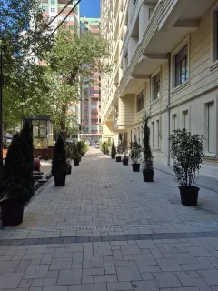 Çapayev Effekt park – şəkil 15