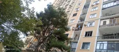 Продаётся 2-комнатная Квартира 65 m² Nəsimi р-н – şəkil 3