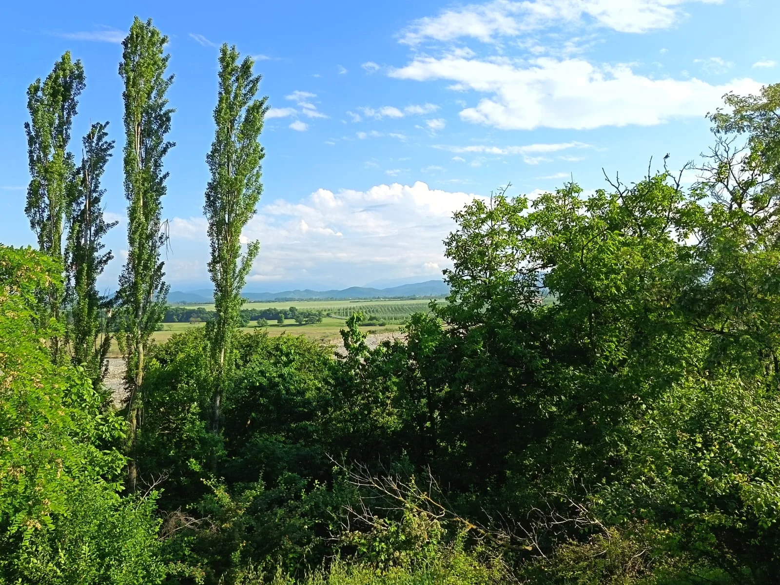 Satılır Torpaq Quba – şəkil 5