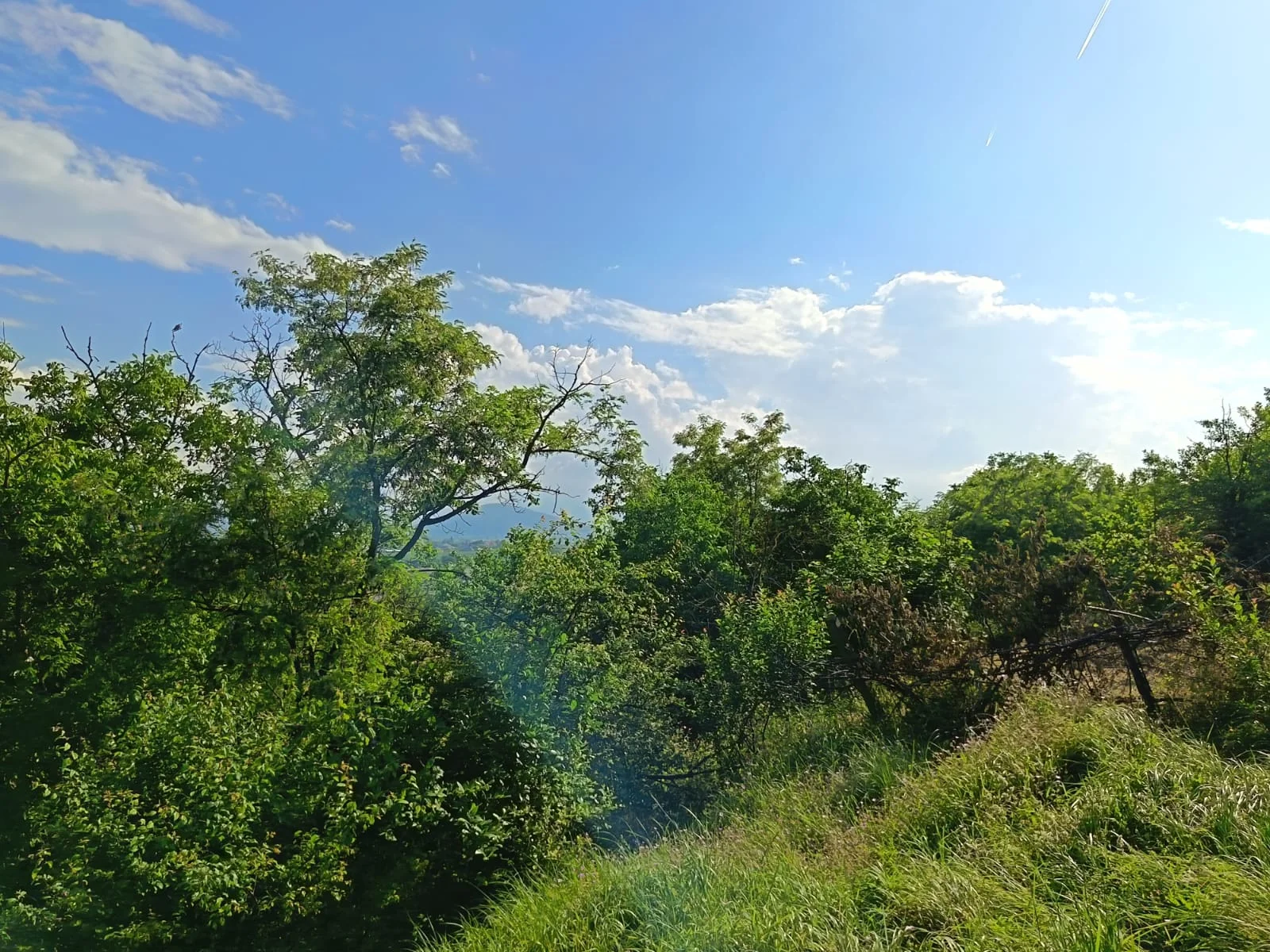 Satılır Torpaq Quba – şəkil 8