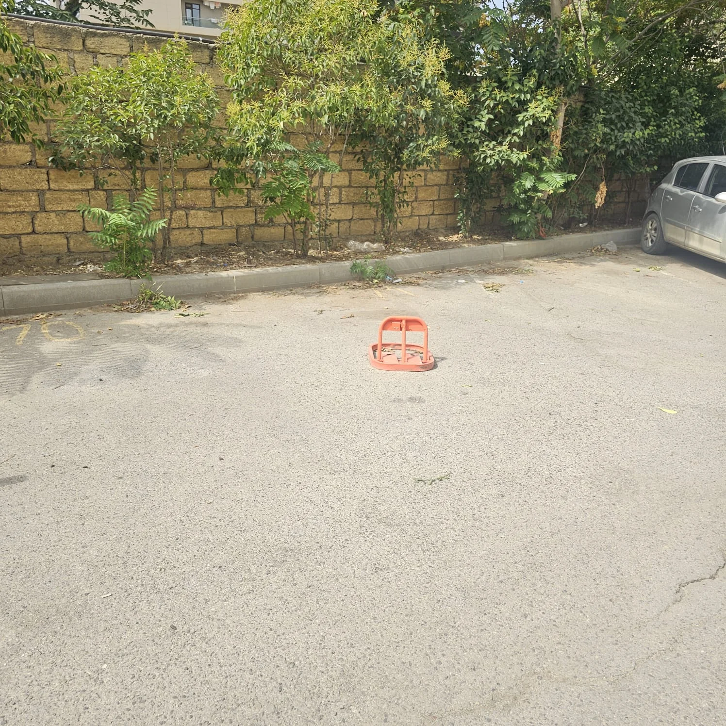 ELMLƏR | VIP PREMIUM – şəkil 16