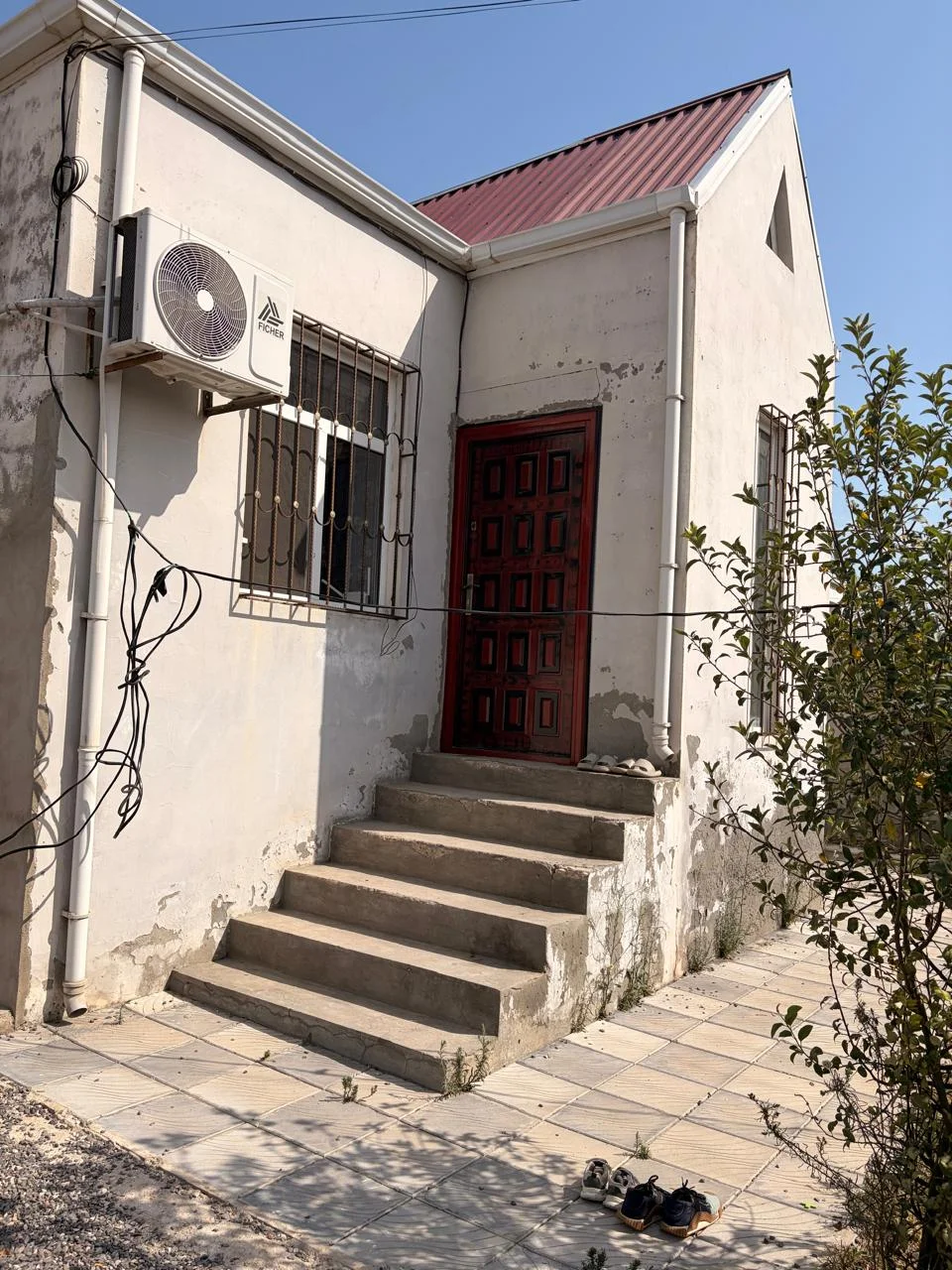 Real alicilar zeng vursun – şəkil 15